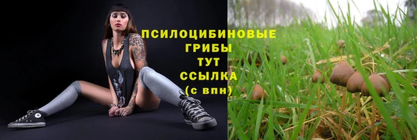 мескалин Россошь