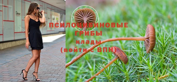винт Рославль