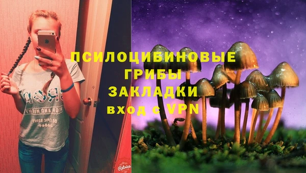 винт Рославль